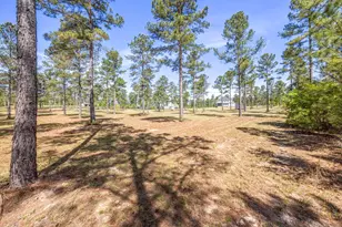 154 Hurlingham Dr, Aiken, SC 29801 - Photo 54