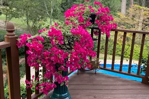 313 Live Oak Rd, Aiken, SC 29803 - Photo 40