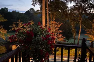 313 Live Oak Rd, Aiken, SC 29803 - Photo 42