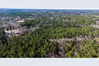 9.01 Hwy 220 E, Lincolnton, GA 30817 - Photo 10