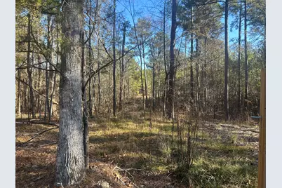 9.01 Hwy 220 E, Lincolnton, GA 30817 - Photo 6