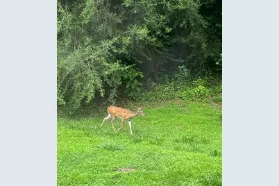 159 Spring Court, Lincolnton, GA 30817 - Photo 16