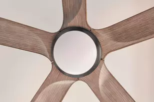 204 Telfair St, Augusta, GA 30901 - Photo 72