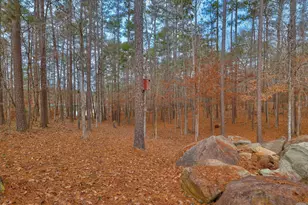 185 Bereau Dr, McCormick, SC 29835 - Photo 42