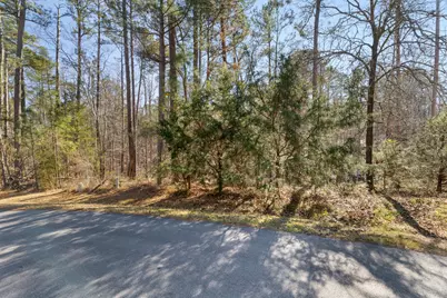 0 Butler Point, McCormick, SC 29835 - Photo 8
