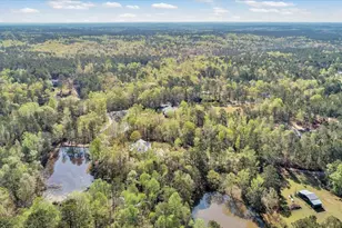 7025 Rance Perry Rd, Appling, GA 30802 - Photo 34