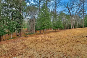 164 Chardonnay Ln, Aiken, SC 29803 - Photo 56