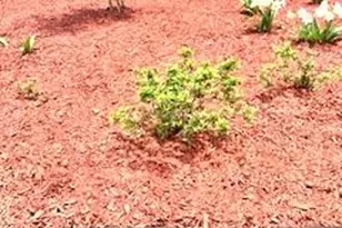 4614 Stoneridge Ct, Evans, GA 30809 - Photo 4