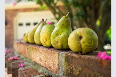 670 Partridge Bend Road, Aiken, SC 29803 - Photo 4