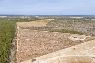 2579 Jessie James Pond Rd, Wrens, GA 30833 - Photo 52