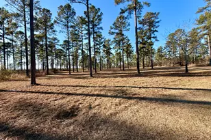 873 Joyner-Oglesby Rd, Sardis, GA 30456 - Photo 70