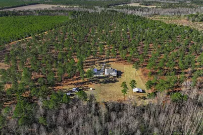 873 Joyner-Oglesby Road, Sardis, GA 30456 - Photo 2