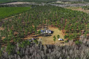 873 Joyner-Oglesby Rd, Sardis, GA 30456 - Photo 2