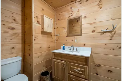 391 Whitecliff Drive, Ellijay, GA 30540 - Photo 34