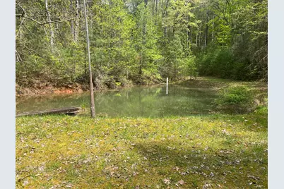 391 Whitecliff Drive, Ellijay, GA 30540 - Photo 38