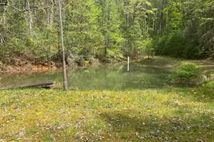 391 Whitecliff Dr, Ellijay, GA 30540 - Photo 38