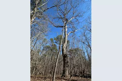 117 Cumberland Drive, McCormick, SC 29835 - Photo 4