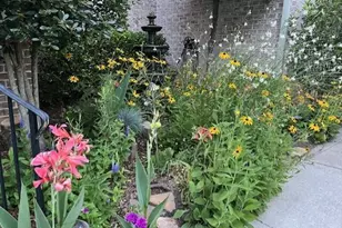 2211 Millshaven Trail, Evans, GA 30809 - Photo 54