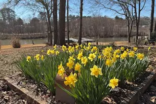 132 Sunset Dr, Eatonton, GA 31024 - Photo 8