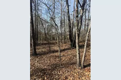 5861 Luckeys Bridge Road, Dearing, GA 30808 - Photo 28