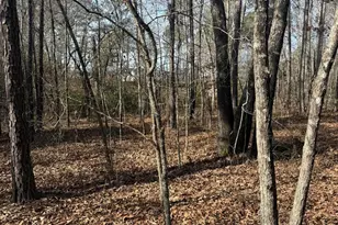 5861 Luckeys Bridge Rd, Dearing, GA 30808 - Photo 28