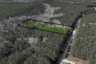 1148 Hardwood Drive, Tignall, GA 30668 - Photo 4