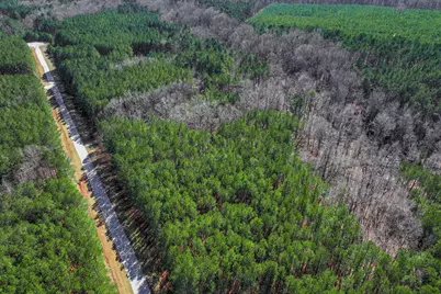 1148 Hardwood Drive, Tignall, GA 30668 - Photo 8