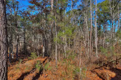 408 Reynard Place, McCormick, SC 29835 - Photo 50