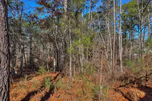 408 Reynard Pl, McCormick, SC 29835 - Photo 50