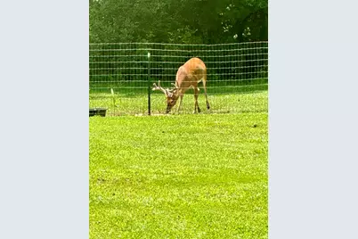 509 Fluker Street, Thomson, GA 30824 - Photo 56