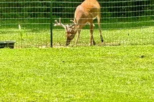 509 Fluker St, Thomson, GA 30824 - Photo 56