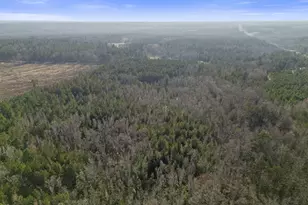 1816 Sterling Gibson Rd, Thomson, GA 30824 - Photo 18