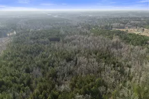 1816 Sterling Gibson Rd, Thomson, GA 30824 - Photo 20