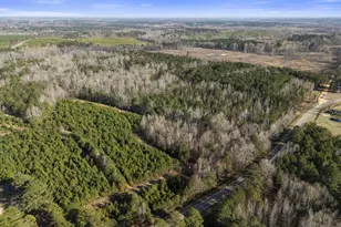 1816 Sterling Gibson Rd, Thomson, GA 30824 - Photo 10