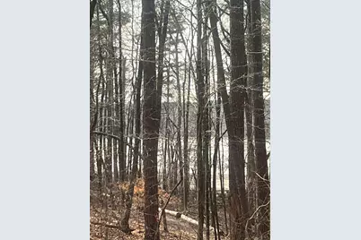 1249 Lakeshore Estates Drive, Lincolnton, GA 30817 - Photo 1