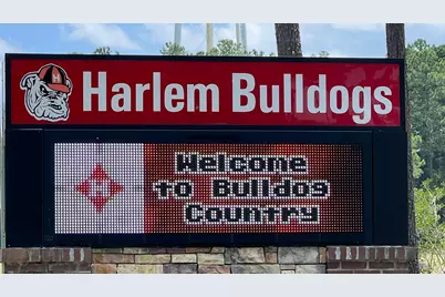 376 Tupelo Pass, Harlem, GA 30814 - Photo 42