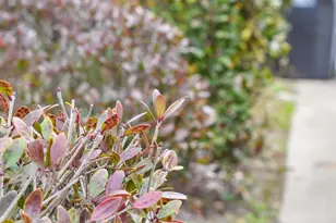 1904 Aspen Green Way, Augusta, GA 30909 - Photo 34