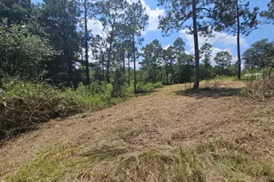 7173 Capers Path, Aiken, SC 29803 - Photo 20