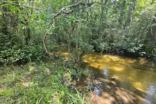 7173 Capers Path, Aiken, SC 29803 - Photo 26