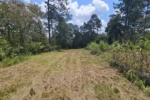 7173 Capers Path, Aiken, SC 29803 - Photo 22