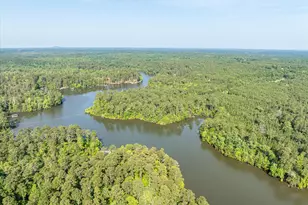 1036 Longleaf Wy, Lincolnton, GA 30817 - Photo 54