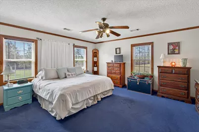 395 Winchester Road, Sylvania, GA 30467 - Photo 28