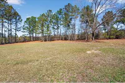 395 Winchester Road, Sylvania, GA 30467 - Photo 44