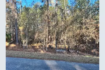 1A Hickory Knob #Lot 1a, McCormick, SC 29835 - Photo 2