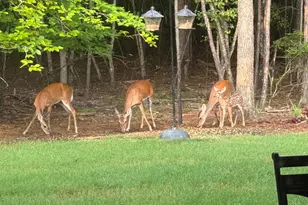 206 Elizabeth Ln, McCormick, SC 29835 - Photo 42