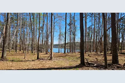 1199 Pawnee Drive, Lincolnton, GA 30817 - Photo 66