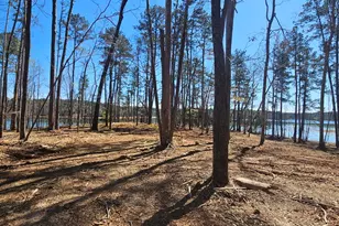 1199 Pawnee Dr, Lincolnton, GA 30817 - Photo 68