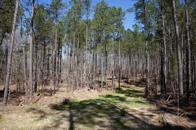 00 Mt. Zion Church Road, Lincolnton, GA 30817 - Photo 8