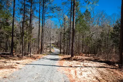 00 Mt. Zion Church Road, Lincolnton, GA 30817 - Photo 18