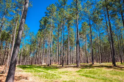 00 Mt. Zion Church Road, Lincolnton, GA 30817 - Photo 14